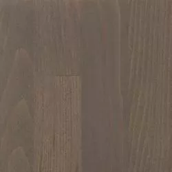 Antracit