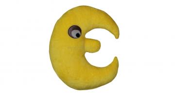 nechtík