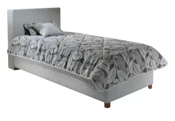 Soro s krátkym čelom