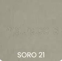 Soro21