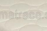 tandard