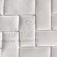 ALGUA SPIRULINA