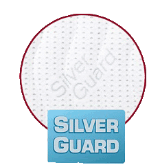 Silver Guard