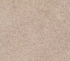 Simple Taupe